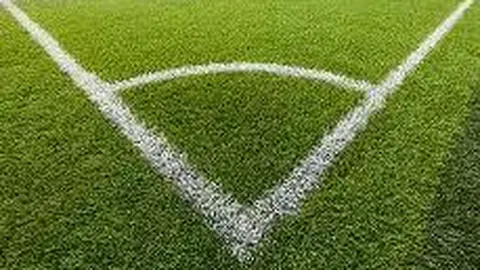 雷竞技RAYBET电竞竞猜 资讯 124356 wkg